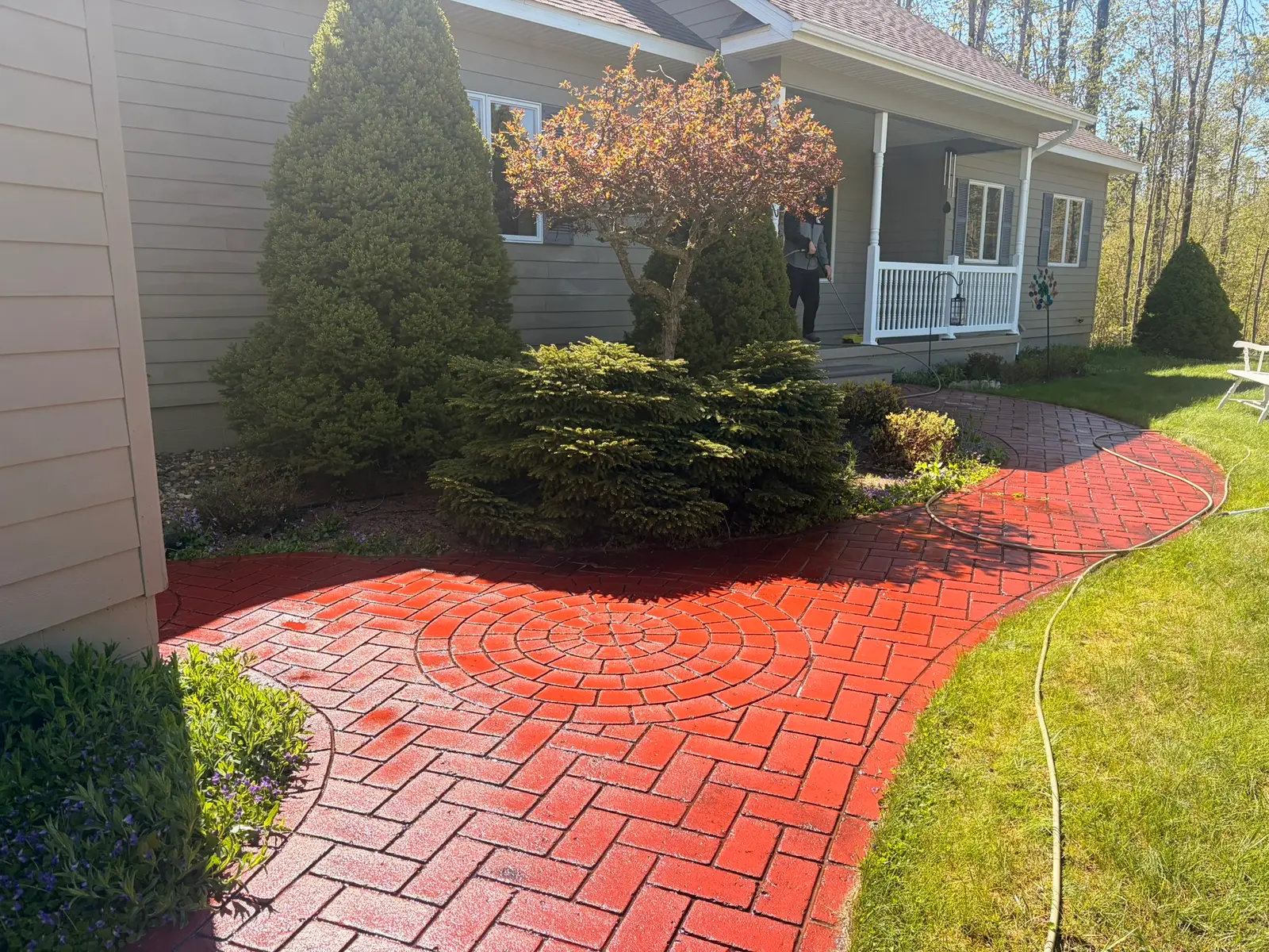 The same paver walkway restored to a vivid red after surface cleaning